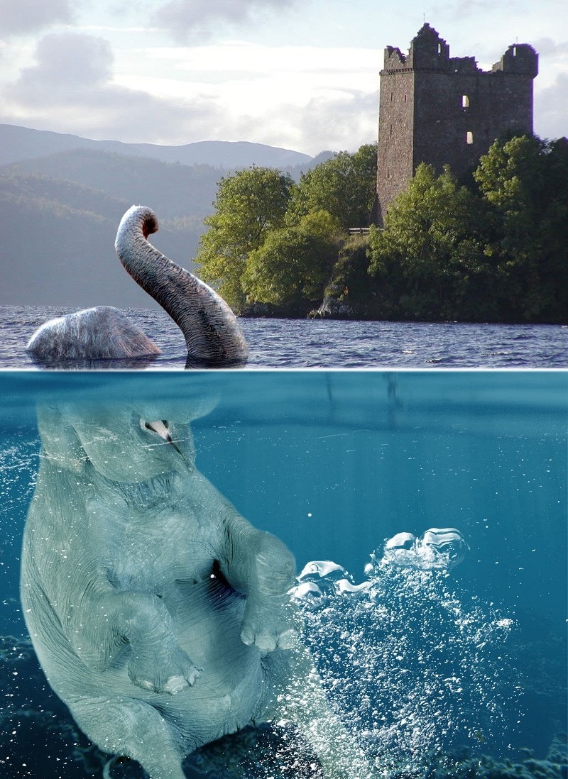 Loch ness lake monster. Лохнесское чудовище в Шотландии. Озеро Лохнесс и Лохнесское чудовище. Чудовище озера Лохнесс. Чудовище озера Ван.